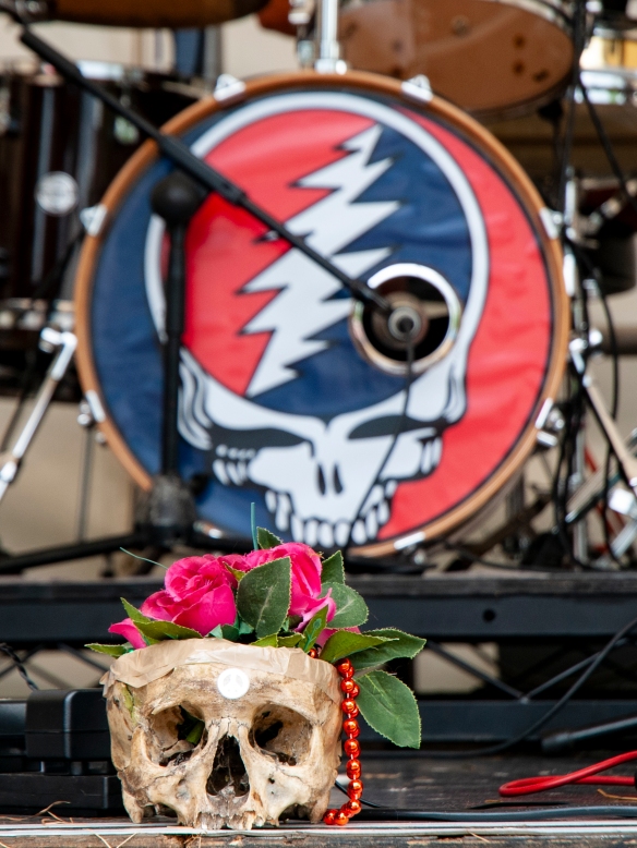 Steal your face.jpg